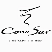 Cono Sur Bicicleta Sauvignon Blanc