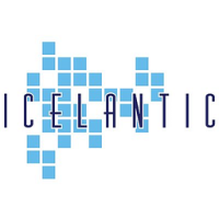 Icelantic Pioneer 94