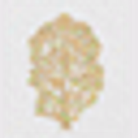 Felton Road The Block 5 Chardonnay (Central Otago, New Zealand)