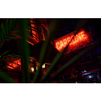 Carbone (New York, Las Vegas, Miami)