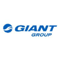 Giant Fastroad