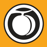 Designing for Digital: Principles and Best Practices for User Experience Design