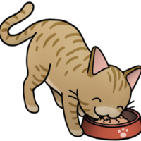 Dr. Elsey's Precious Cat Ultra Litter