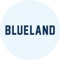 Blueland Cleaning Tablets