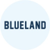 Blueland Cleaning Tablets