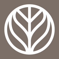 Branch Basics Concentrate