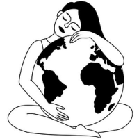 Zero Waste Store Bamboo Paper Towels