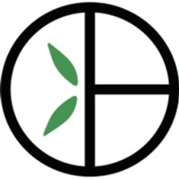 Bamboo Basics Toothbrushes