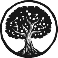 Kumu