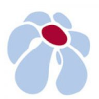 Valley Brook Organic Dried Cranberries