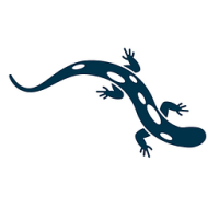 Anfibio Kayaks Tango