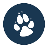 Great Wolf Lodge - Multiple Locations