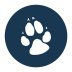 Great Wolf Lodge - Multiple Locations