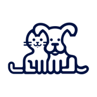 Petco Collapsible Dog Crate