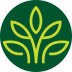 Traditional Medicinals Organic Motherwort Tea