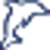 BlueDolphin