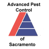 Advanced Pest Control