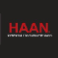 Haan Solo Steam Mop