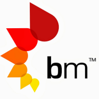 Brainmates Introduction to Project Management