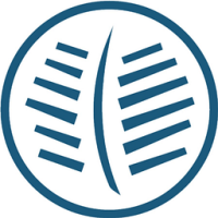 Cubavera Men's Guayabera Shirt