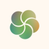 Hugger Mugger Cork Yoga Blocks