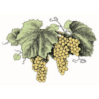 Grgich Hills Estate Chardonnay Organic