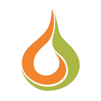 Pura Vida Friendship Bracelet