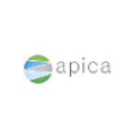 Apica Portable Projector
