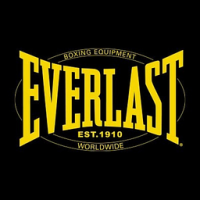 Everlast Pro Heavy Bag