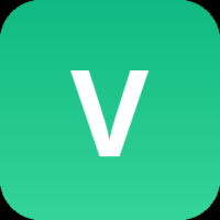 Valiant Organic Dark Ale