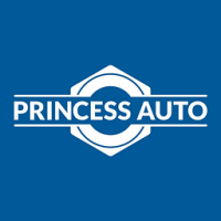 Princess Auto Paint Sprayer