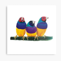 ViewSonic OMNI VX2418