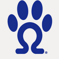 Omega Paw Scratching Post