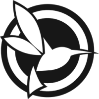 BlackVue DR970X-2CH Plus