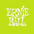 Ernie Ball Everlast .88mm