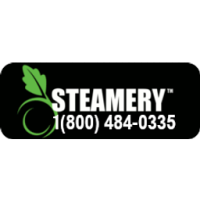 Steamery Lift Steam Mop