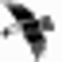 Screaming Eagle Cabernet Sauvignon 2016