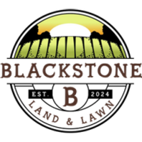 Blackstone BI02310 21-Inch Push Mower